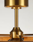 33" Quinn Electroplated Luxury LED Fandelier
