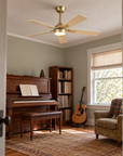 52" Norell Modern LED Ceiling Fan with Reversible Blades
