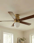 52" Fanny Ceiling Fan