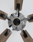 52" Rory Modern Downrod Mount Ceiling Fan