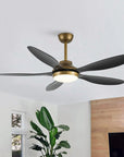 52" Punjab Smart Fan with LED Light