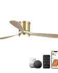 52" Mayna Smart Fan