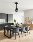 55" Xenia Black Ceiling Fan with Clear Blades