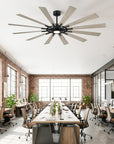 72" Irene Modern 12-Blade LED Ceiling Fan