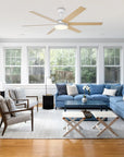 60" Volga Modern Ceiling Fan