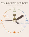 56" Modern Soft Brass & Solid Wood Ceiling Fan with LED Light