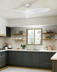 52" Punjab Industrial Ceiling Fan