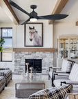 66'' Misael Propeller Integrated Led Black Ceiling Fan