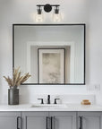 Modern Farmhouse Brilliance 2-Light Vanity Light - IPLUS Lighting
