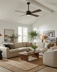 Bucholz 52" Dimmable RGB Ceiling Fan