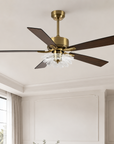 52" Rory Modern Downrod Mount Ceiling Fan