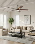65" Fury Farmhouse DC Ceiling Fan