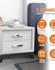 Lucien Contemporary Wood Nightstand with Spacious Drawers