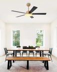 IPLUS 52" Double-sided Blades Ceiling Fan - IPLUS Lighting