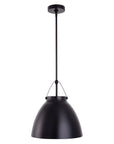 Modern Metal 1-Light Dimmable Pendant Light - IPLUS Lighting
