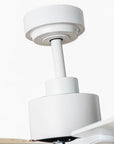 72" Elbe Modern Smart Ceiling Fan