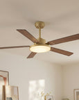 Vaczon 52" Double-sided Blades Ceiling Fan