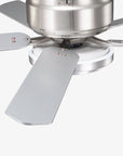 52" Double-sided Blades Smart Ceiling Fan