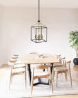 Haymarket 4-Light Matt Black and Golden Caged Chandelier - ParrotUncle
