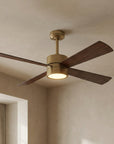 Bucholz 52" Dimmable RGB Ceiling Fan