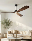 60 Inch Alexi Modern Downrod Ceiling Fan