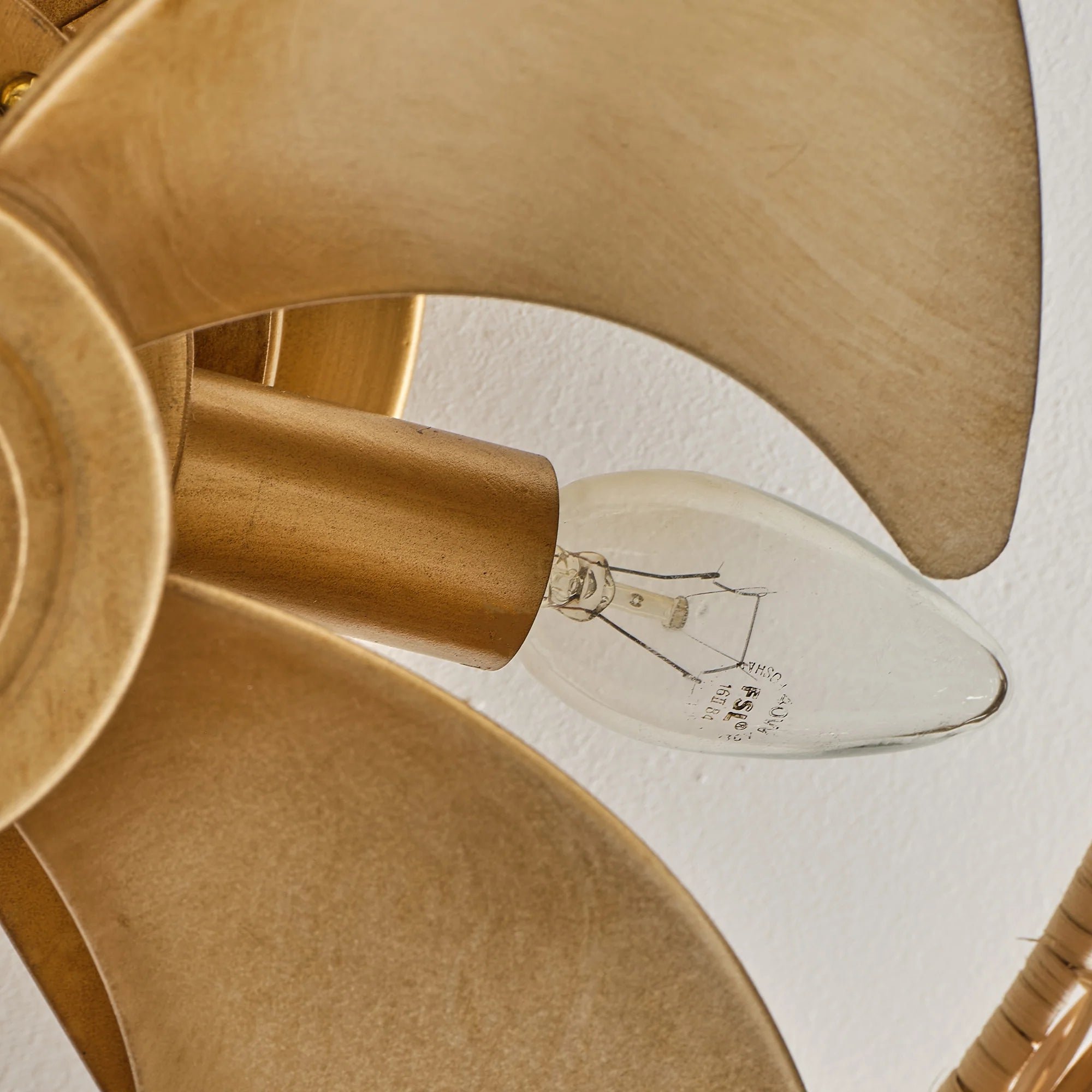 21" Myron Bohemian Ceiling Fan