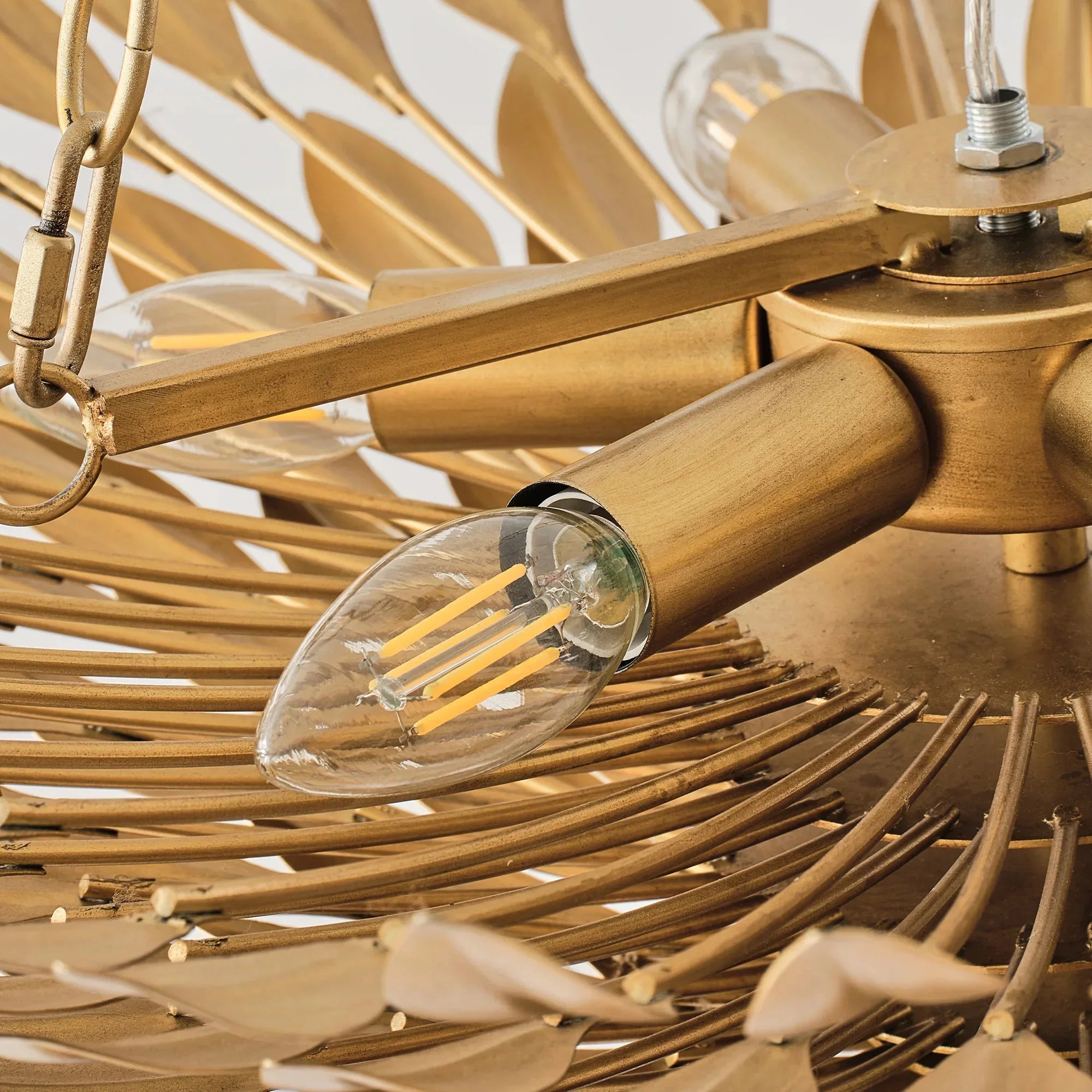 22" Verna Farmhouse Golden Chandelier - IPLUS Lighting