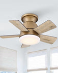 24" Farmhouse Reversible Iron Ceiling Fan
