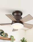 24" Farmhouse Reversible Iron Ceiling Fan