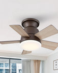 24" Farmhouse Reversible Iron Ceiling Fan