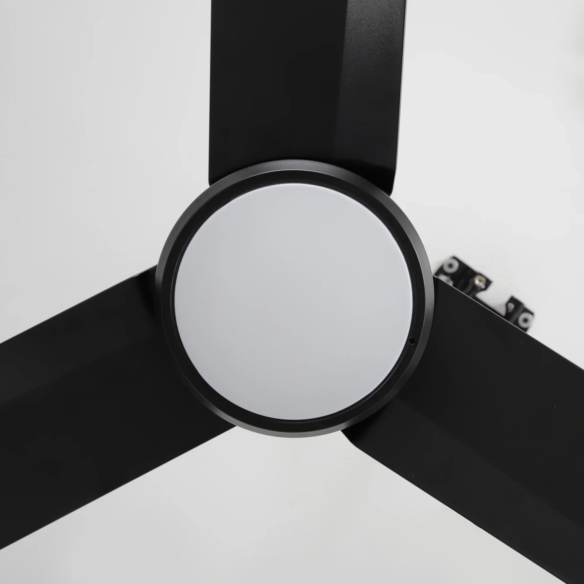 42" Rhine IP65 Waterproof Ceiling Fan
