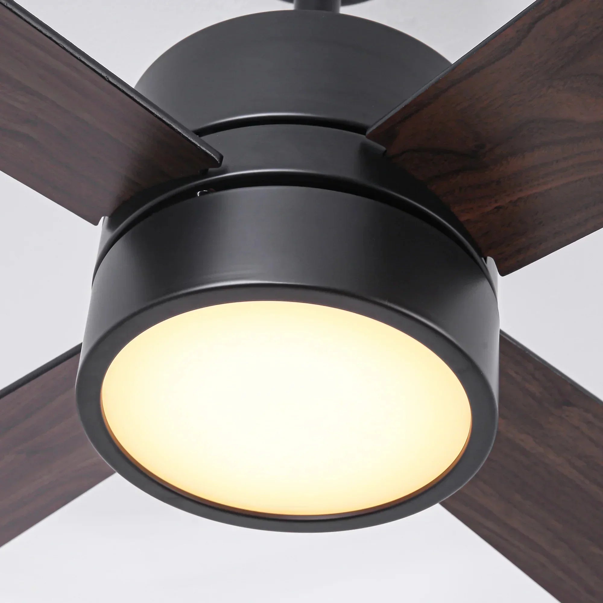 52 Inch Bucholz Dimmable RGB LED Ceiling Fan - IPLUS Lighting