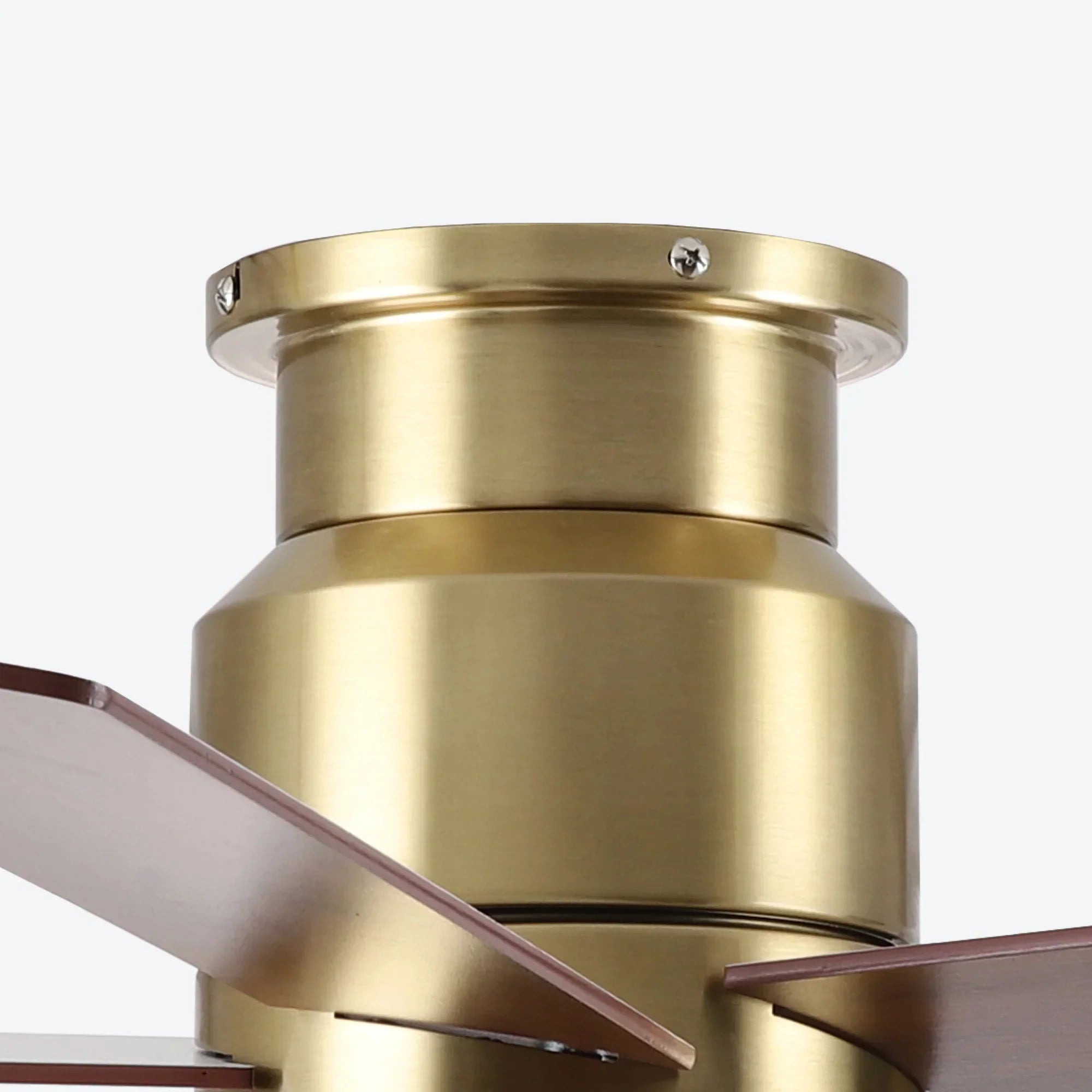 52" Fanny Ceiling Fan