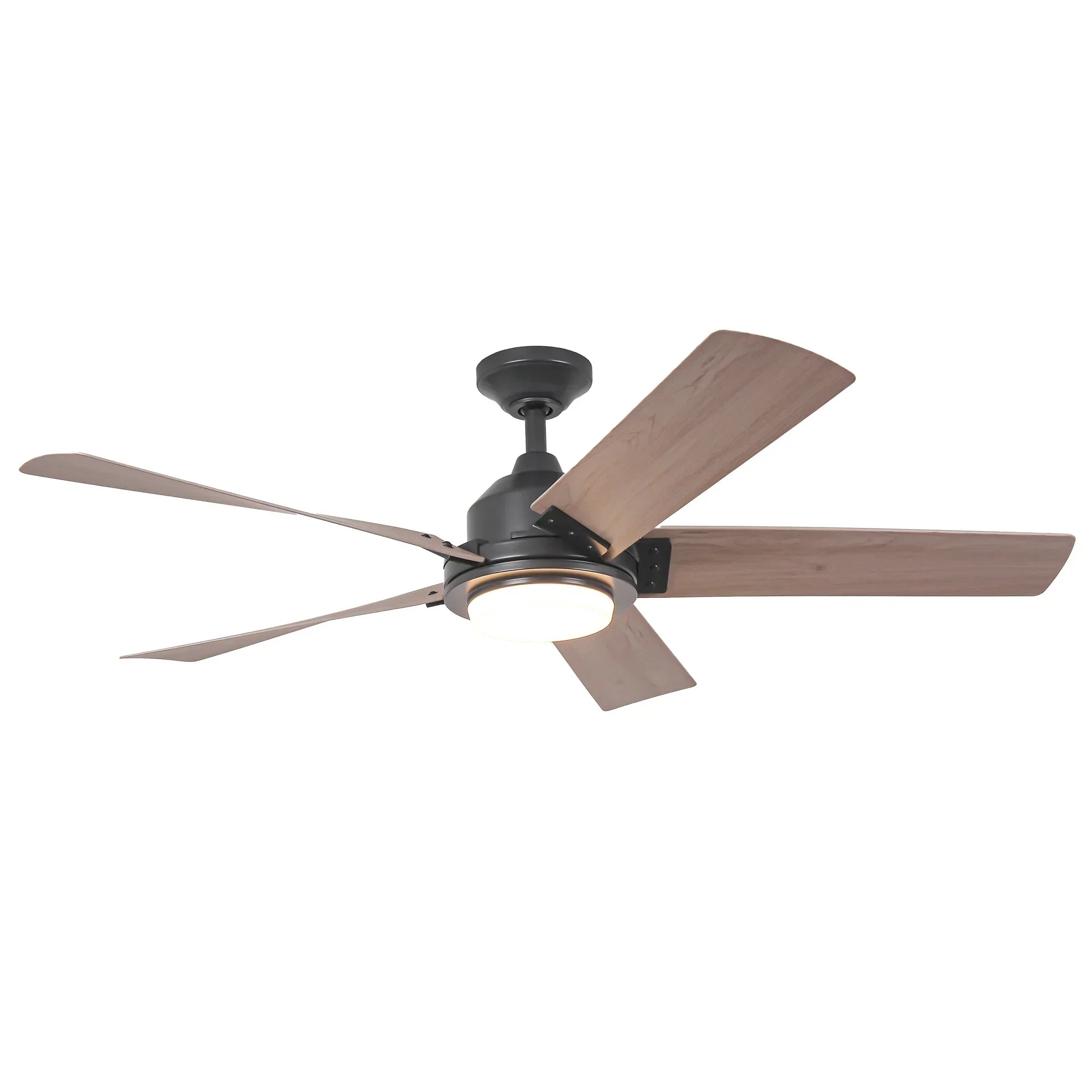 52" Vita Ceiling Fan