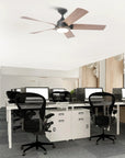 52" Vita Ceiling Fan