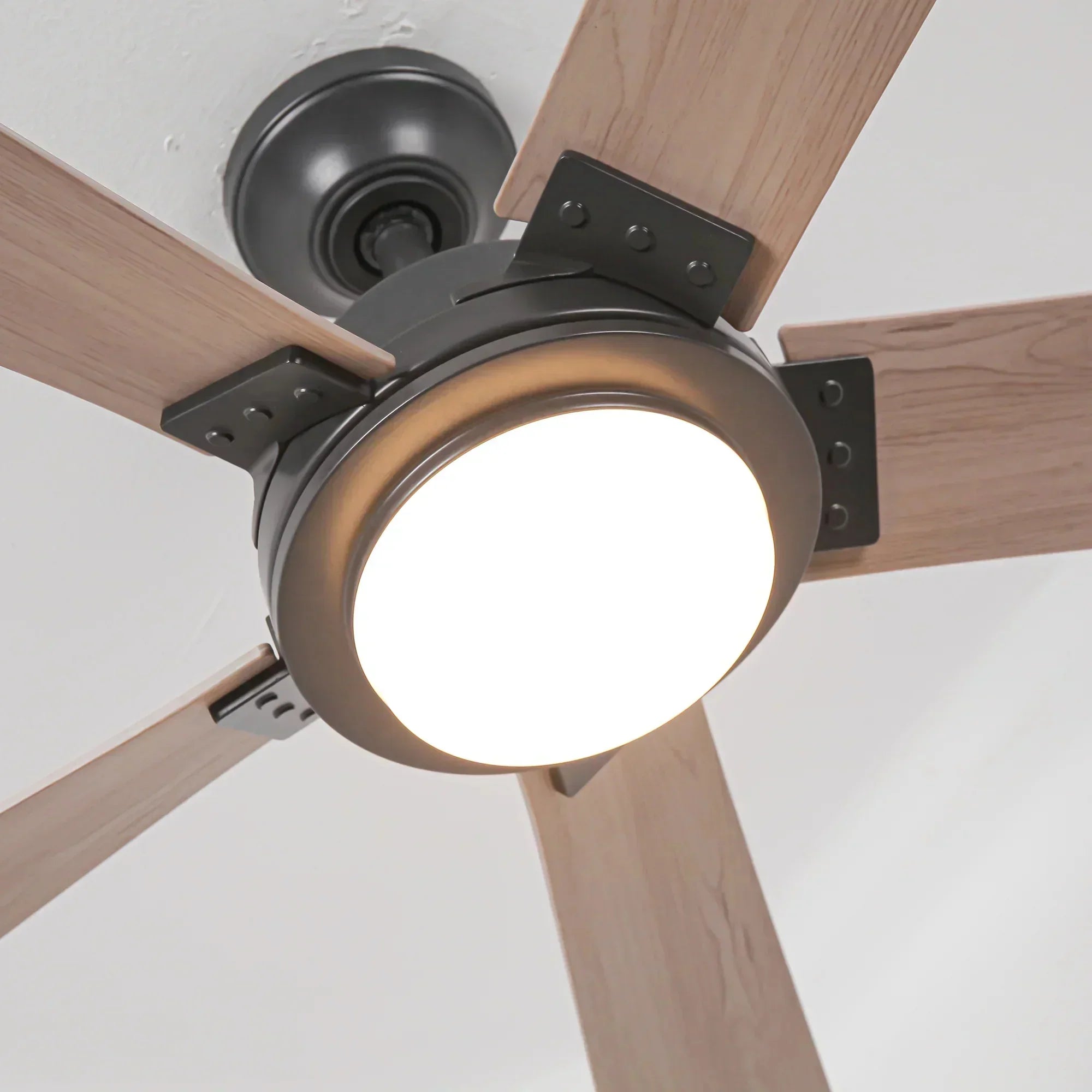 52" Vita Ceiling Fan