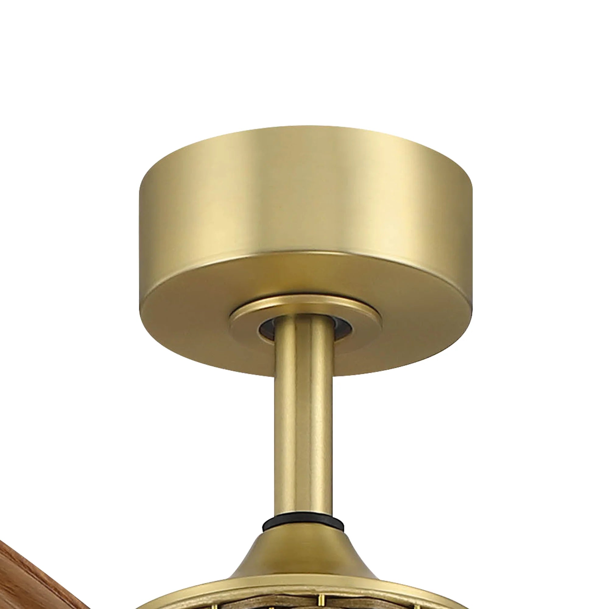 52" Porter Soft Brass IP66 Outdoor Ceiling Fan