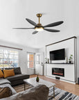 52" Punjab Smart Fan with LED Light