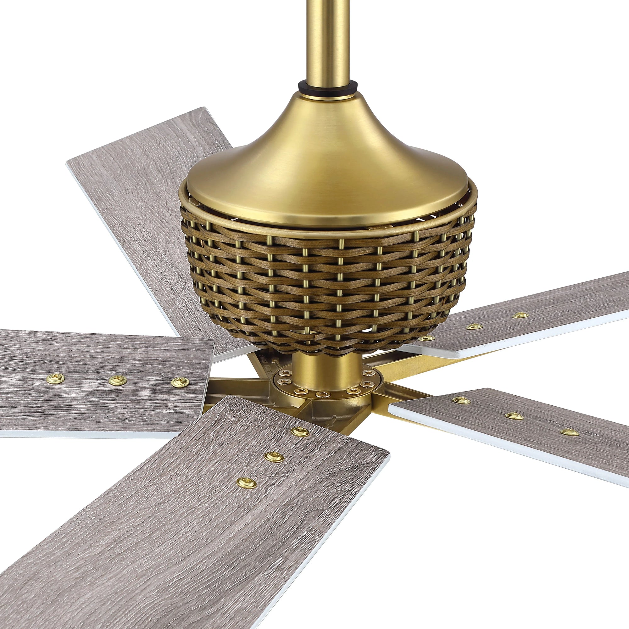 52" Rex Soft Brass Ceiling Fan