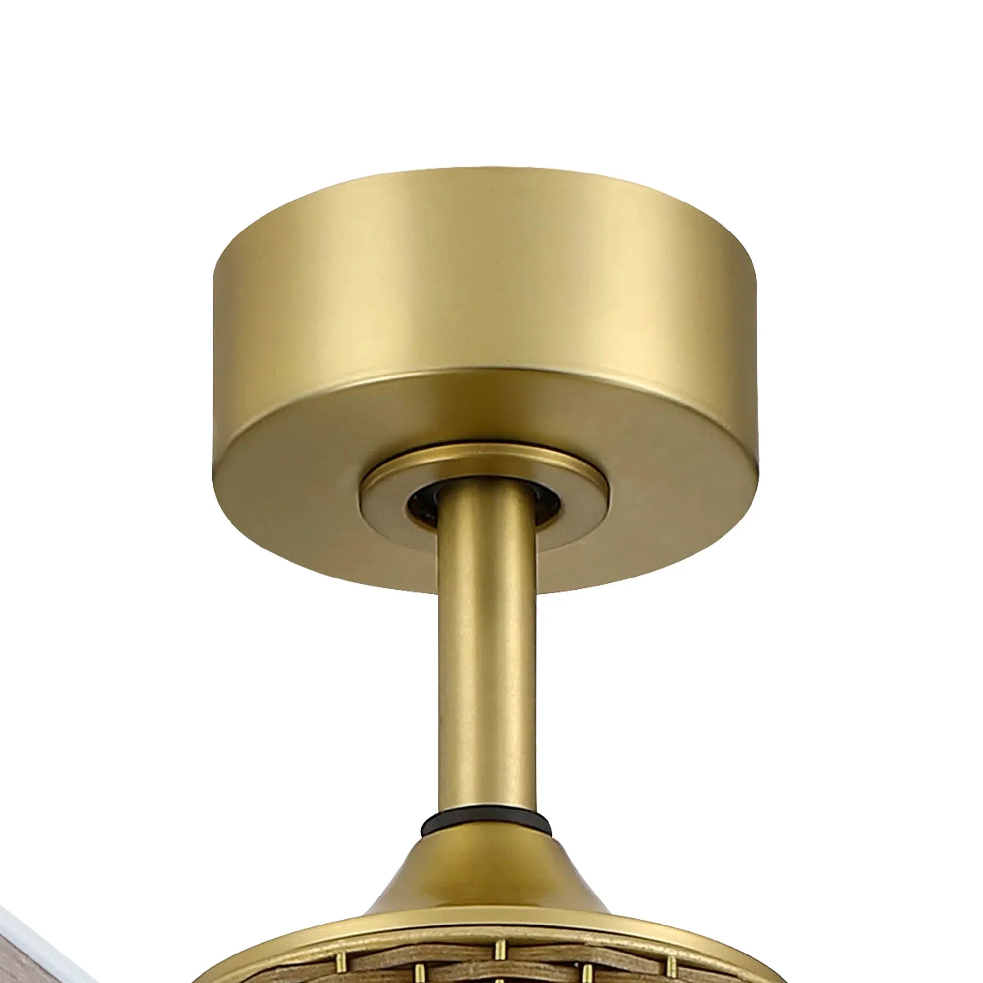 52" Rex Soft Brass Ceiling Fan