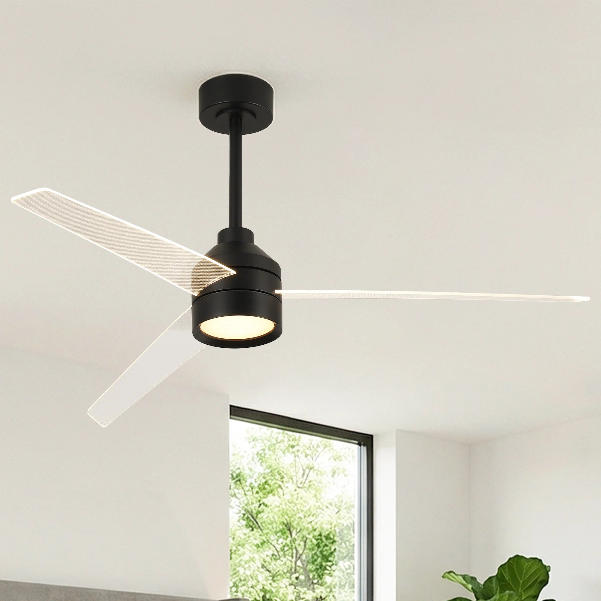 55" Xenia Black Ceiling Fan with Clear Blades