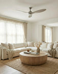 56" Bernardino Indoor Ceiling Fan