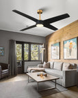 60" Parvez Modern DC Reversible Ceiling Fan - IPLUS Lighting