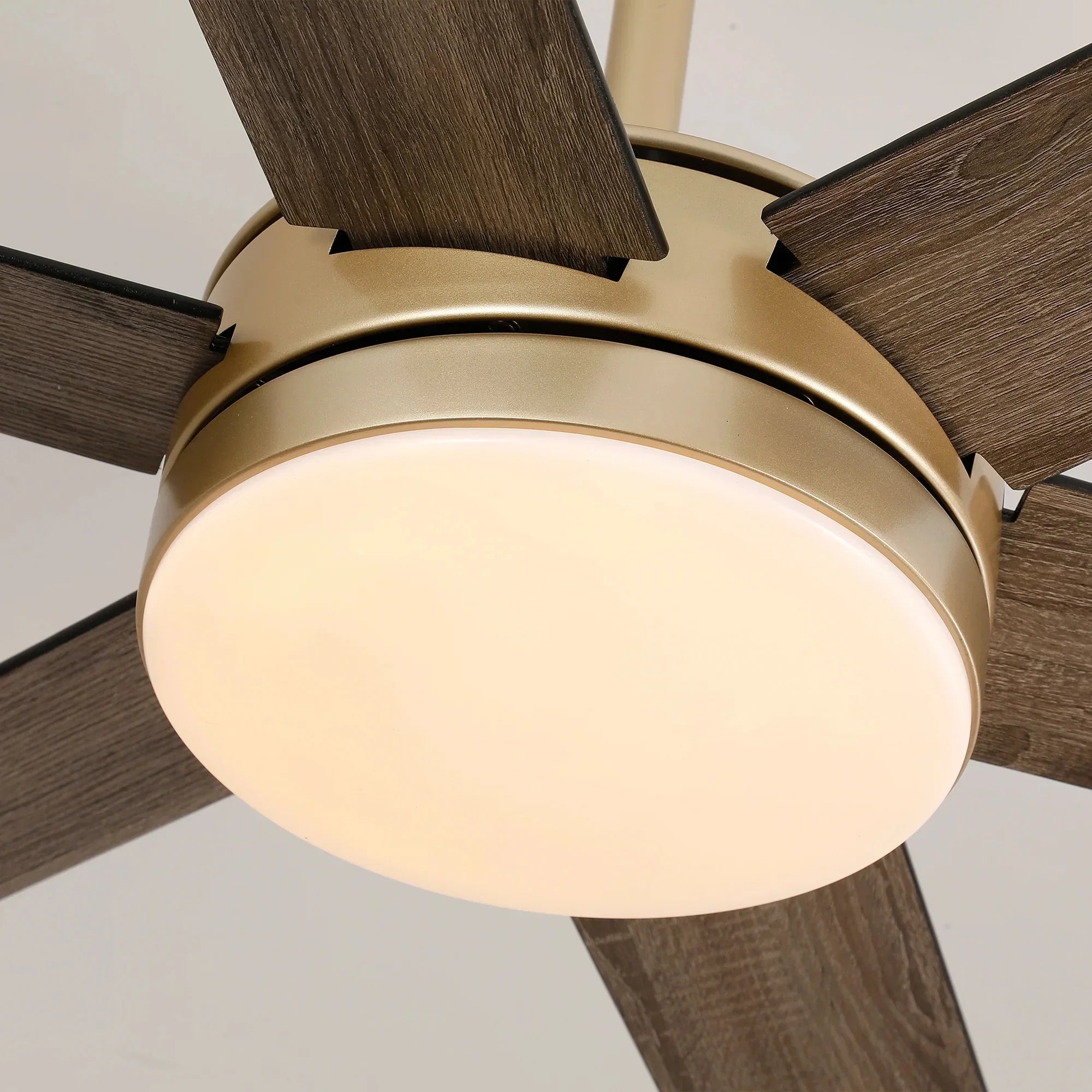 60" Volga Modern Ceiling Fan