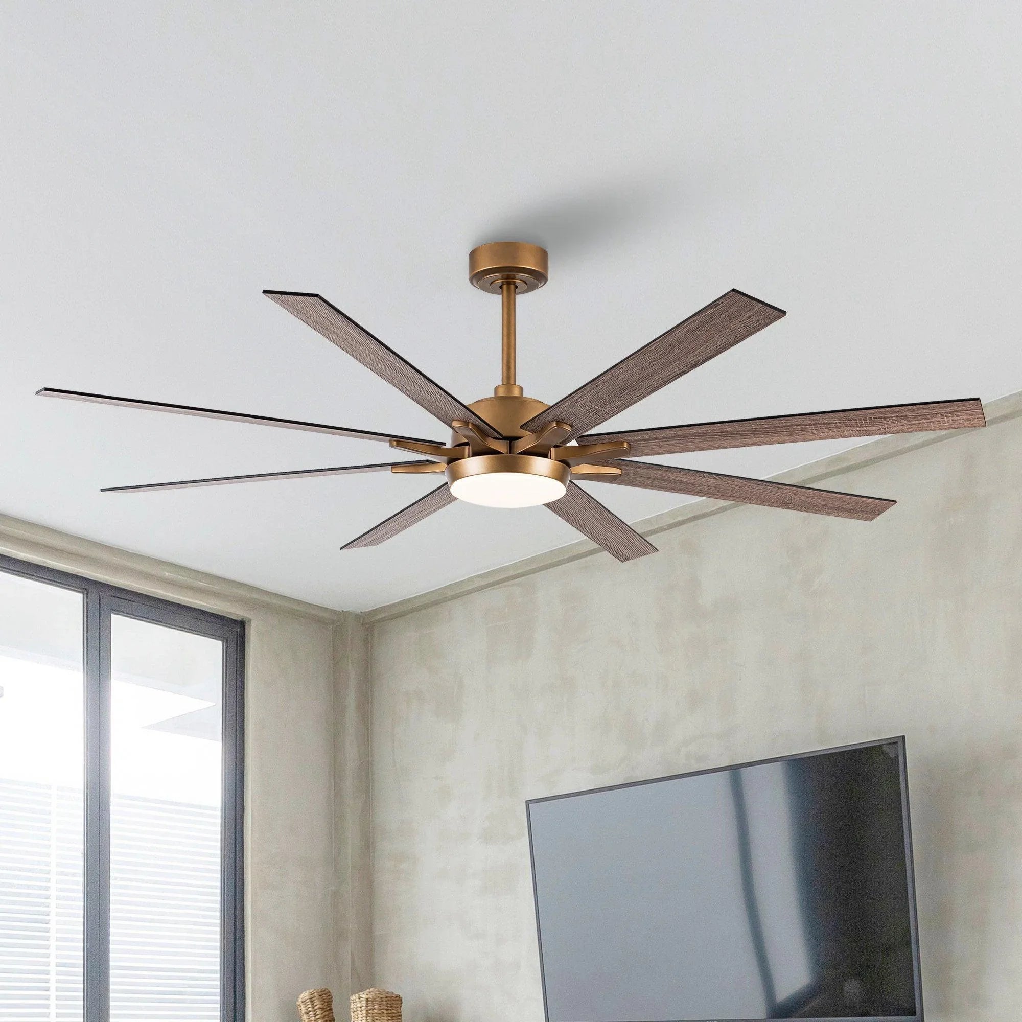 65" Balachandran Industrial Ceiling Fan