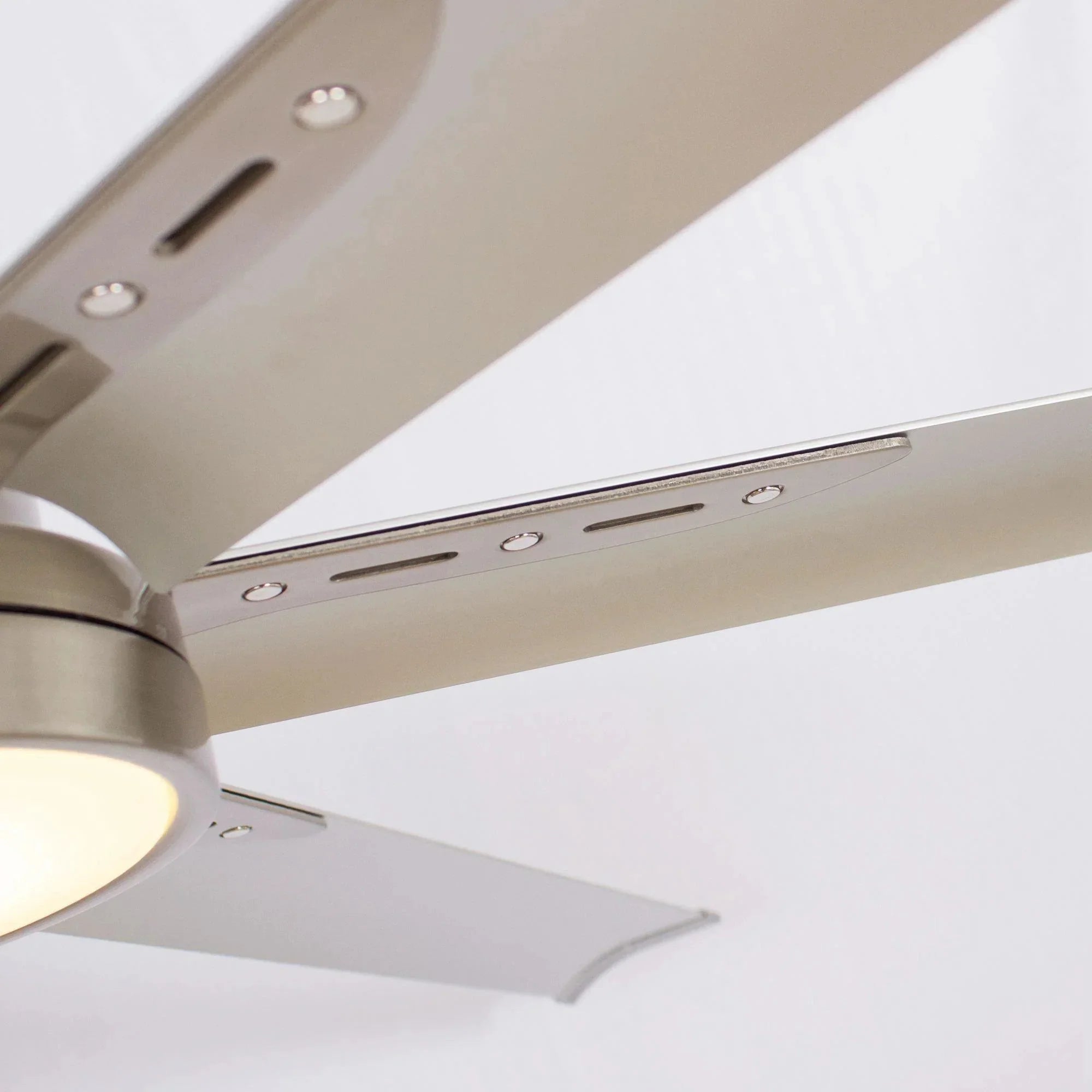 65'' Freda Modern Ceiling Fan