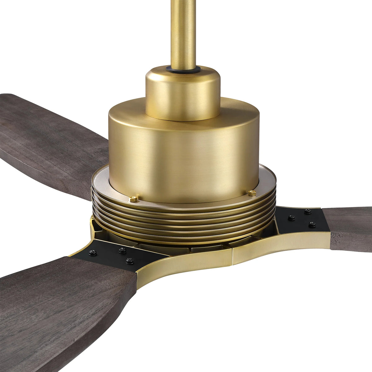 48" Louise Modern Soft Brass Ceiling Fan with Solid Wood Blades