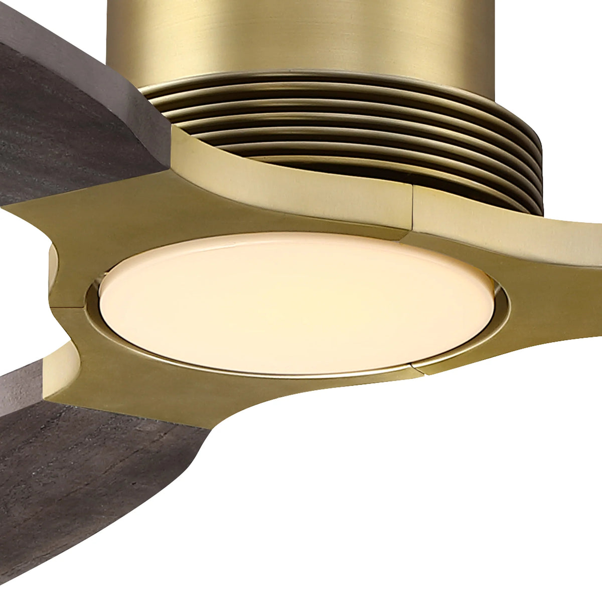 48" Louise Modern Soft Brass Ceiling Fan with Solid Wood Blades