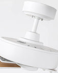 52" Zephra Wall Control 4 Speed Ceiling Fan