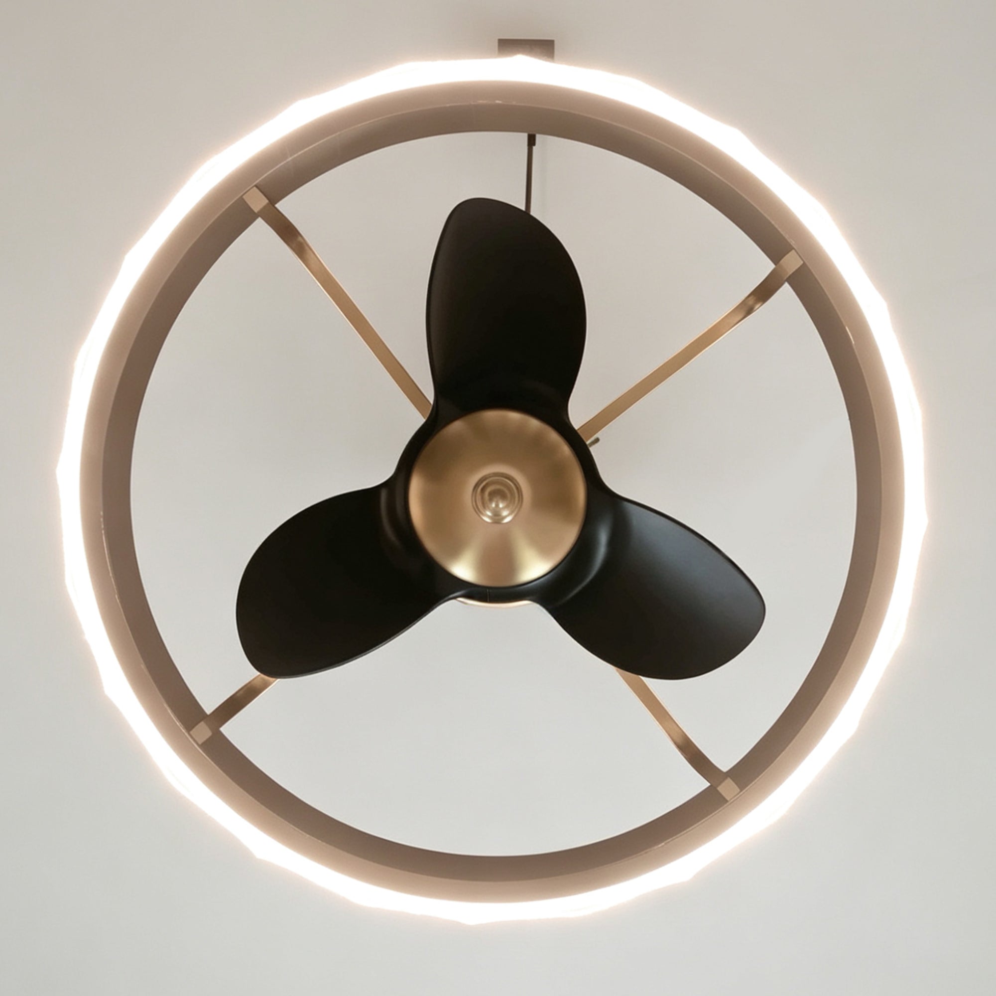 24" Scott Antique Luxury LED Fandelier